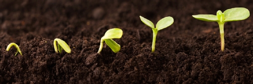 Ignition Technology sets sights on increasing business